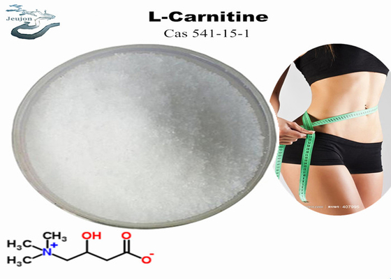 Mỹ phẩm nguyên liệu R L Carnitine Powder For Weight Loss CAS 541-15-1 Belly Fat Burner Powder