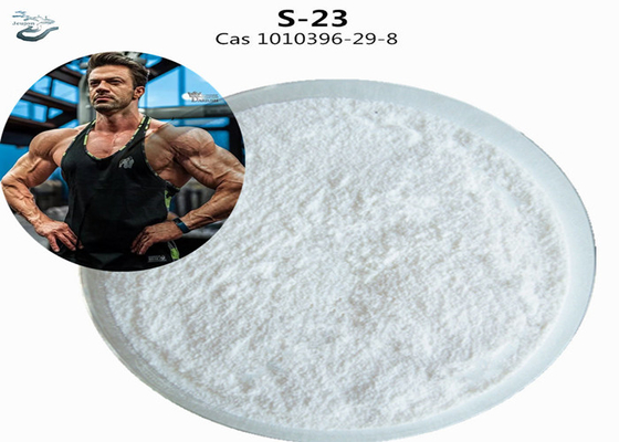 HPLC thô S23 Gym Powder CAS 1010396-29-8 Sarm S-23 bổ sung để xây dựng cơ bắp