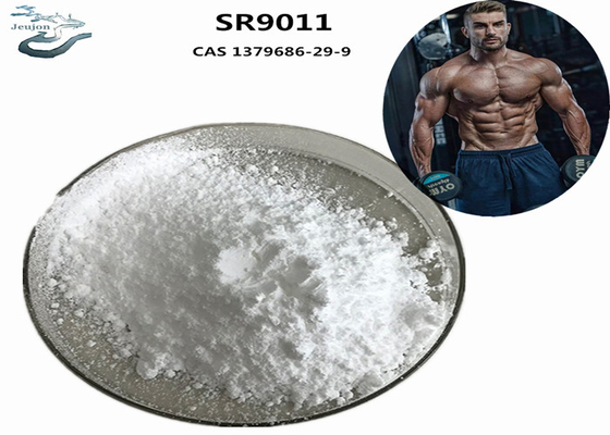 Gym Powder Sarm bổ sung thể hình SR9011 CAS 1379686-29-9 Để xây dựng cơ bắp
