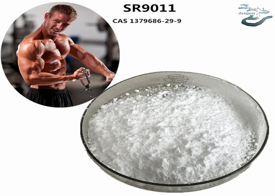 SR9011 Sarms chất béo đốt cháy Gym bột CAS 1379686-29-9 bổ sung thể hình