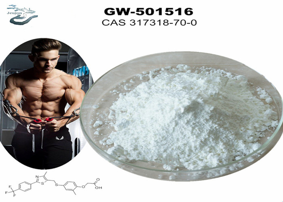 GW 501516 GSK-516 Sarms Gym bột thể hình CAS 317318-70-0