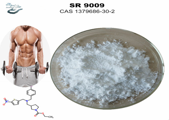 Gym Powder Sarms Workout Supplement Stenaboli SR-9009 Trước khi tập thể dục CAS 1379686-30-2